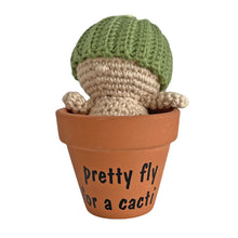 Load image into Gallery viewer, Plant Pal - Barrel Cactus