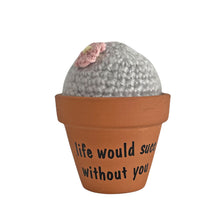 Load image into Gallery viewer, Plant Pal - Fluffy Cactus