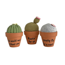 Load image into Gallery viewer, Plant Pal - Barrel Cactus
