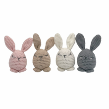 Load image into Gallery viewer, Piper Bunny Crochet Toy