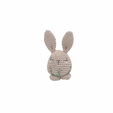 Load image into Gallery viewer, Piper Bunny Crochet Toy with Flower Embroidery